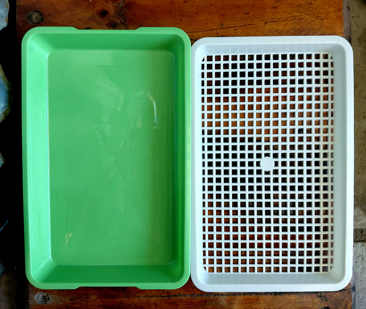 Microgreen Growing Tray with Drainage Grid – 21.5cm × 13.5cm
