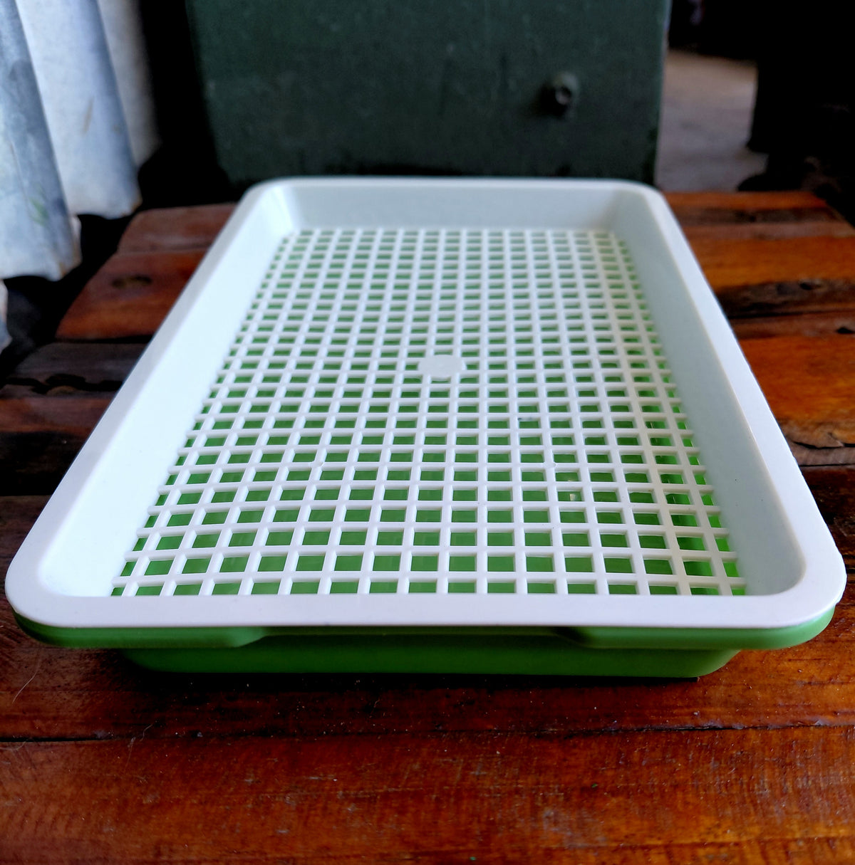 Microgreen Growing Tray with Drainage Grid – 21.5cm × 13.5cm