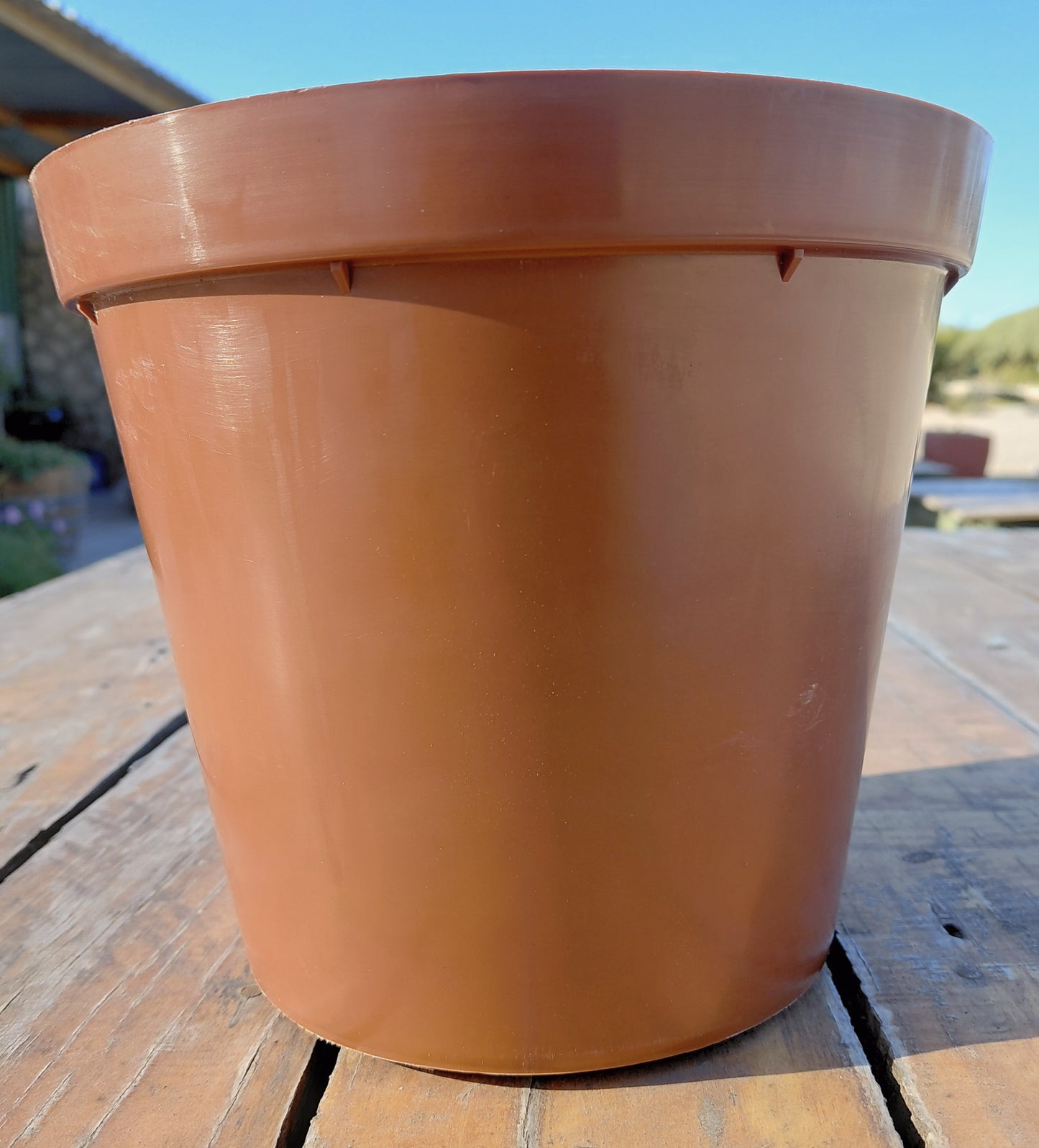 20cm Plastic Pot