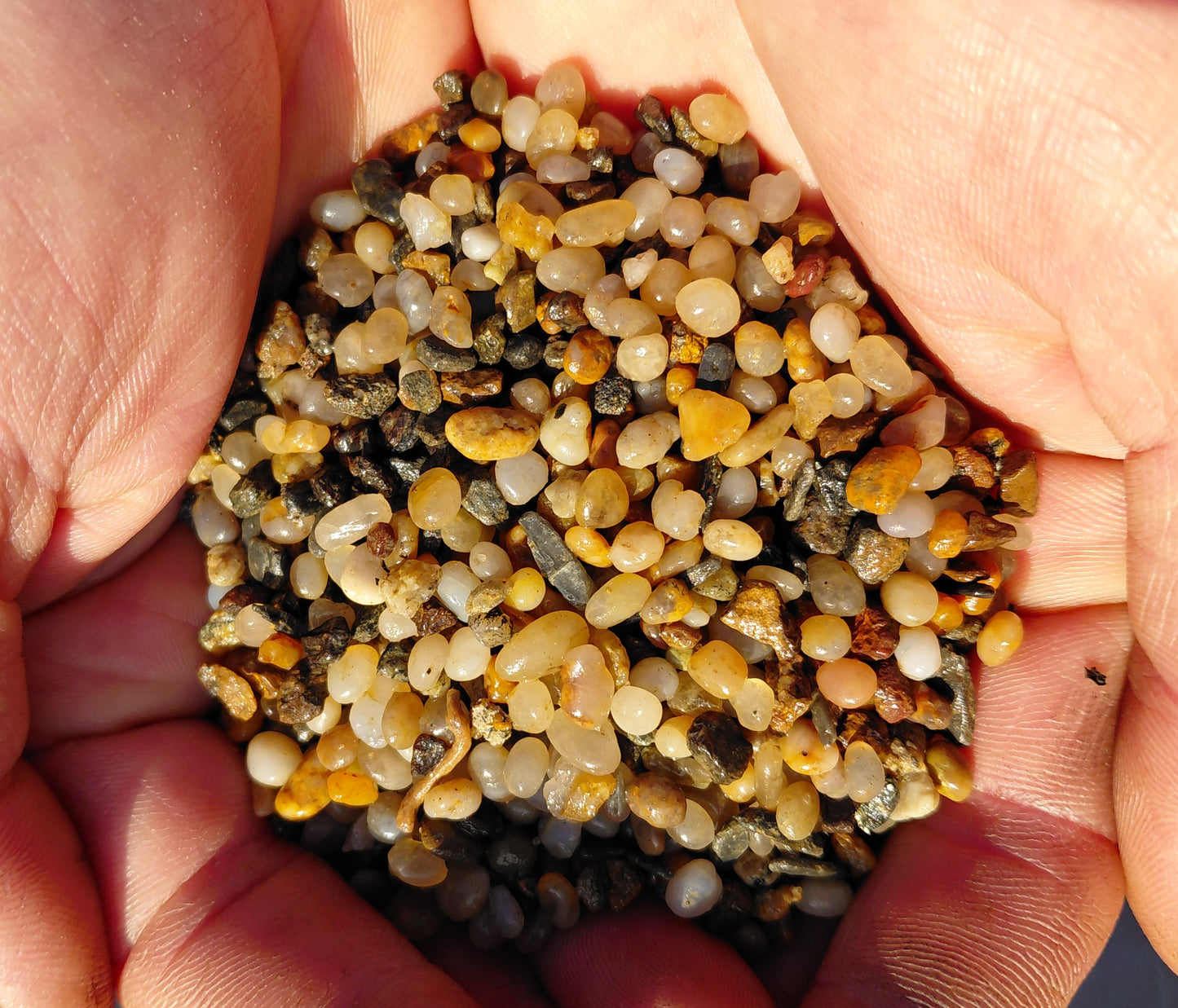 6mm Marine Pebble 2kg | West Coast Pebble