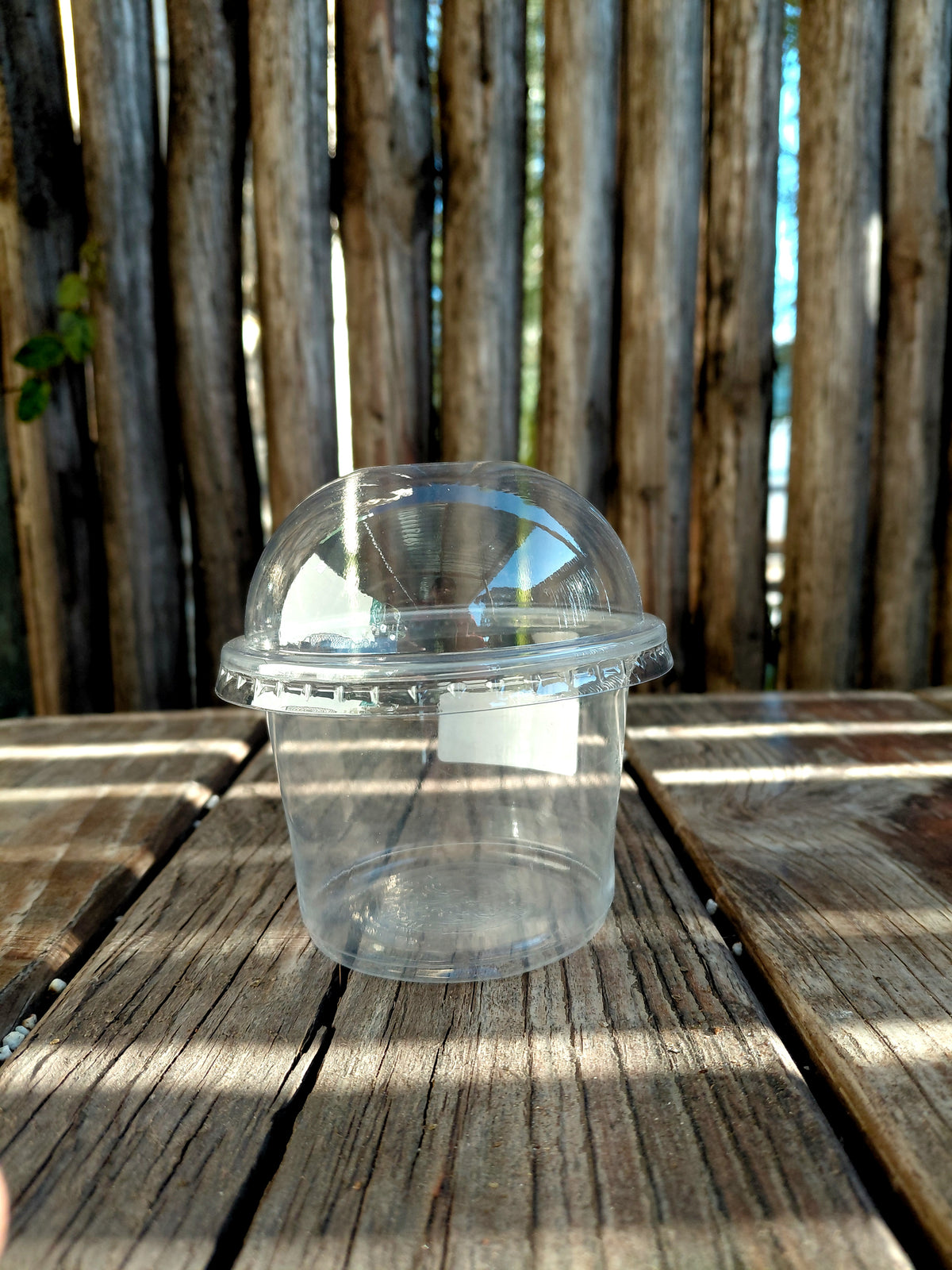 Propagation Dome Pot – Seed Starting & Plant Propagation