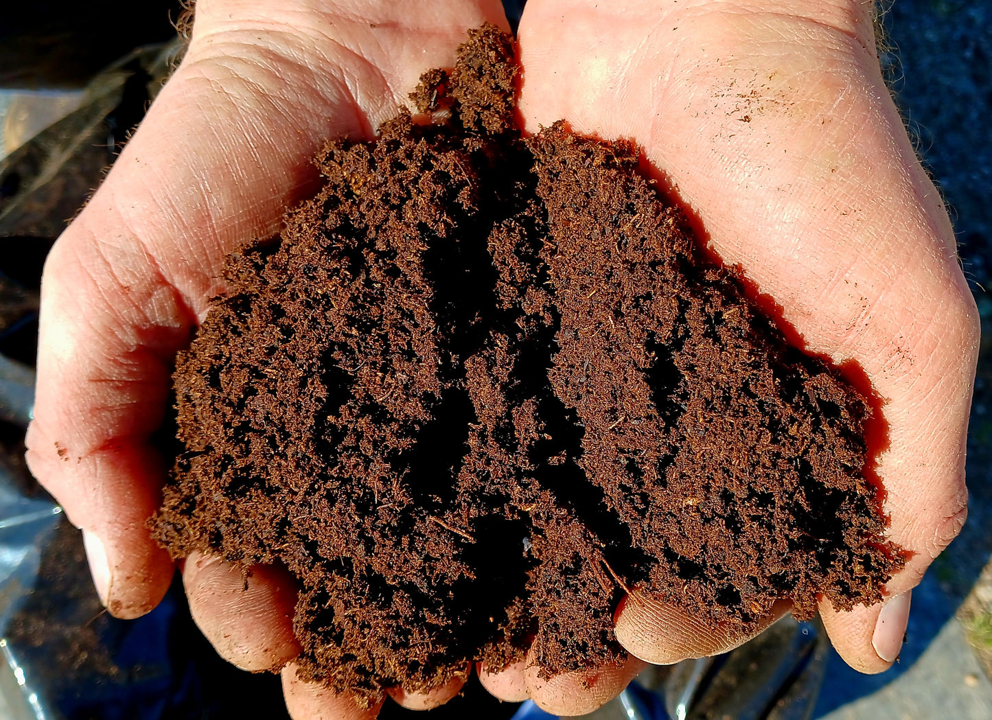 Peat Moss