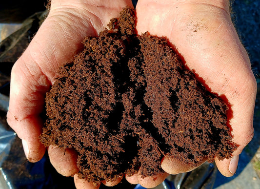 Peat Moss