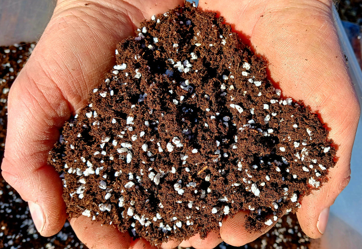 hand holding a handul of propagation mix
