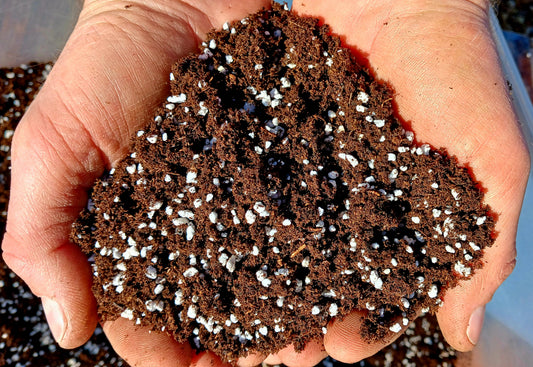 hand holding a handul of propagation mix
