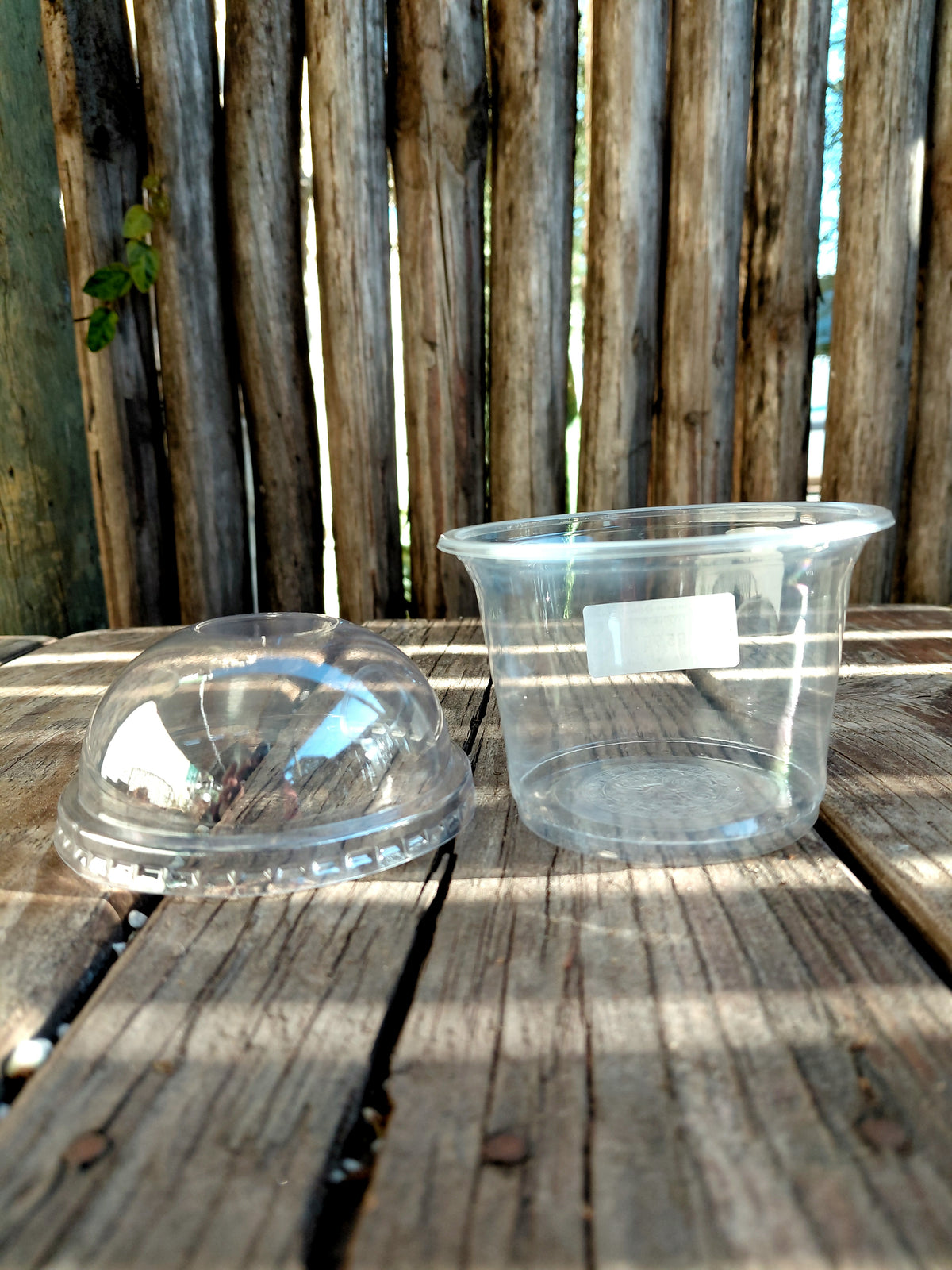 Propagation Dome Pot – Seed Starting & Plant Propagation