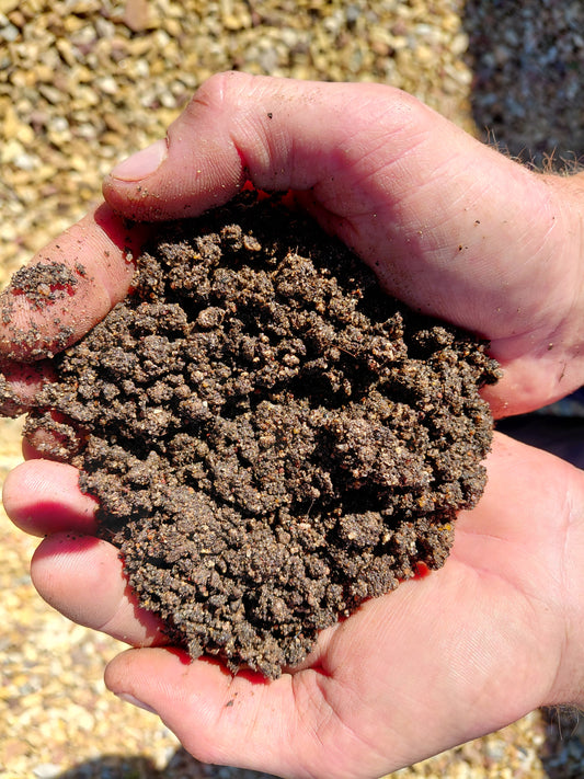 10dm³ Succulent Mix